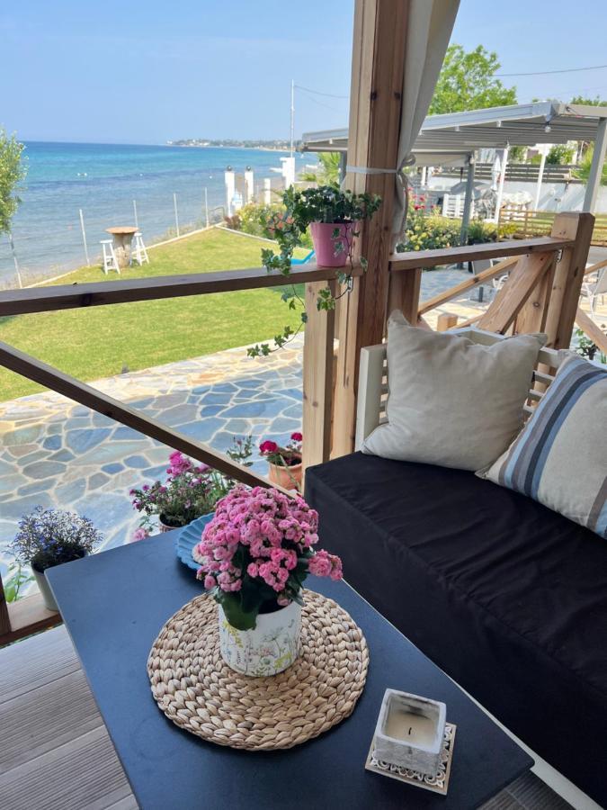 Beachfront Villa Athina Vergia 外观 照片